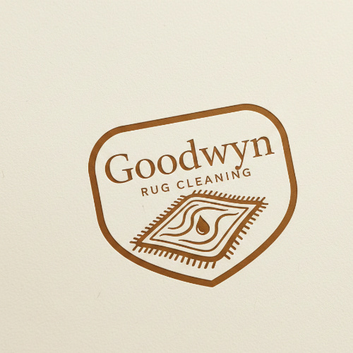 Professional carpet cleaning service